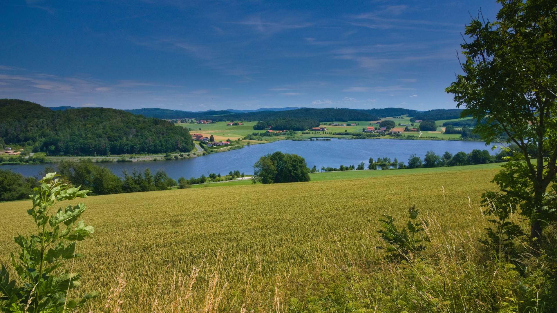 Mit dem Drachensee-Quiz den See spielerisch entdecken